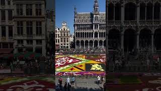 TAPETE de FLORES em Bruxelas Inscreva-se no CANAL e Acompanhe #ipco #bruxelas