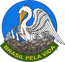 No momento, você está visualizando Seminário sobre Anencefalia e Eutanásia