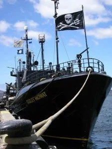Sea Sheperd