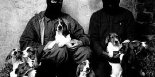 As raízes anti-humanas do movimento ambientalista (3)