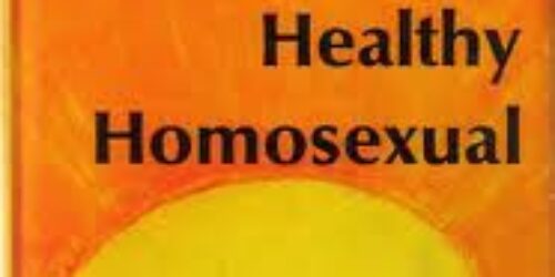 Confirmado: a homofobia não existe!