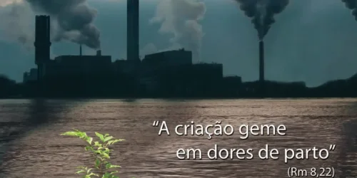 Sobre Degradação Moral, Campanha da Fraternidade, Lixo e Sapos.