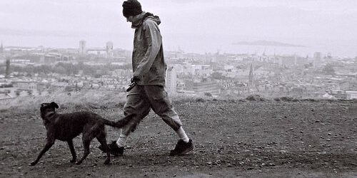 Boemia: troque um filho por um cachorro!