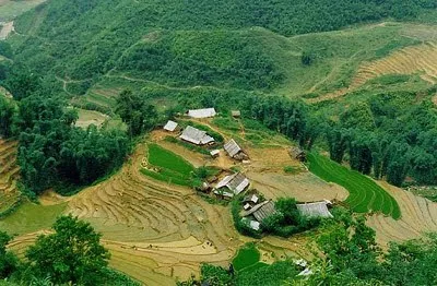 No momento, você está visualizando Repressão socialista mata dúzias de cristãos no Vietnam