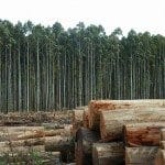 Agropecuária brasileira: modelo de eficácia apesar de fatores adversos
