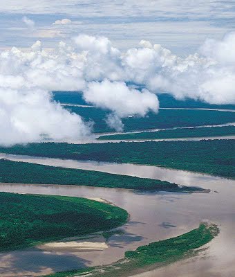 No momento, você está visualizando A natureza fala pesado e desmente o ecologismo alarmista