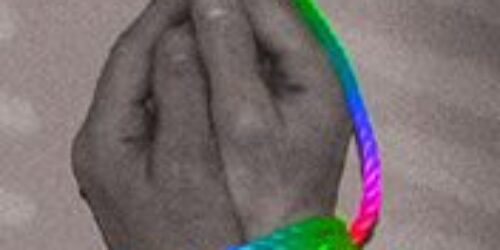 Reaja agora contra a “lei da homofobia”, o PLC 122, que pode ser votado nesta semana