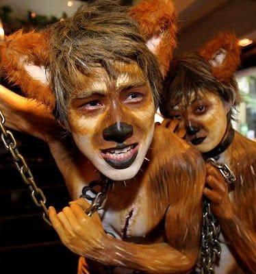 No momento, você está visualizando O que é a ecologia? – Parte I