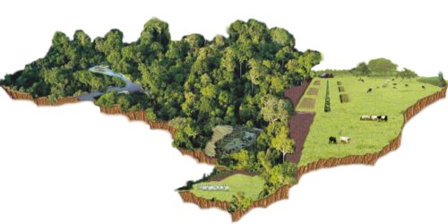 Ambientalismo: Preservação da Natureza ou Cavalo de Troia? – Considerações sobre o Código Florestal