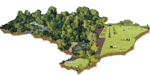 Ambientalismo: Preservação da Natureza ou Cavalo de Troia? – Considerações sobre o Código Florestal
