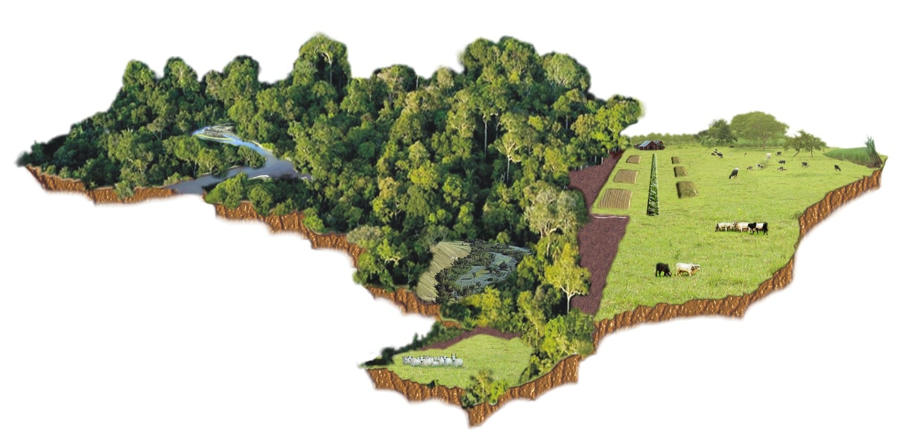 No momento, você está visualizando Ambientalismo: Preservação da Natureza ou Cavalo de Troia? – Considerações sobre o Código Florestal