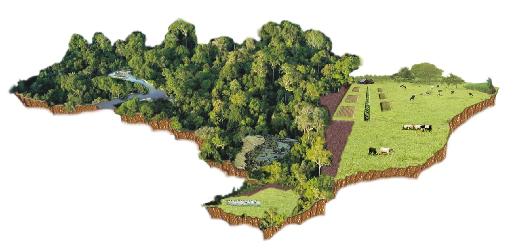 No momento, você está visualizando Ambientalismo: Preservação da Natureza ou Cavalo de Troia? – Considerações sobre o Código Florestal