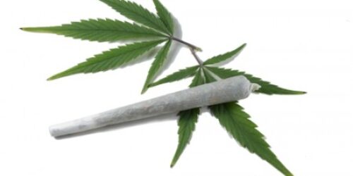 Maconha prejudica a memória e a inteligência especialmente em adolescentes, revela pesquisa