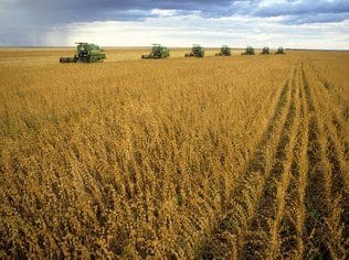 No momento, você está visualizando PIB: Código Florestal no Brasil asfixia a agropecuária