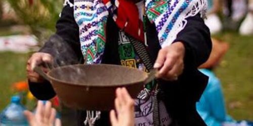 A religião ambientalista vista por um professor de filosofia