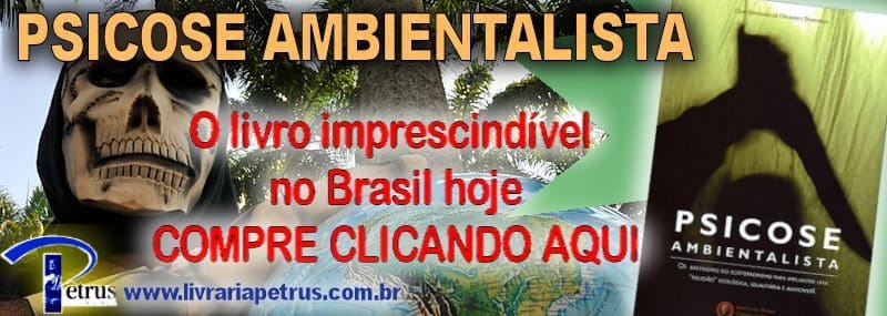 No momento, você está visualizando Cineasta recusa oferta de Al Gore por temor de fraude mal-intencionada