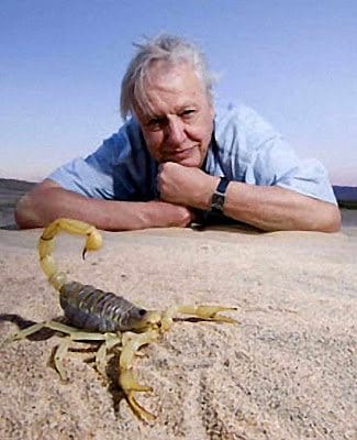 No momento, você está visualizando Alarmista “verde” prega contra o aumento da estirpe humana