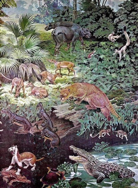 No Eoceno, a temperatura global e o CO2 se multiplicaram várias vezes. O resultado não foi a morte, mas extraordinário desenvolvimento da vida vegetal e animal