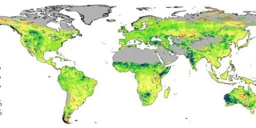 Terra reverdece com aumento de CO2