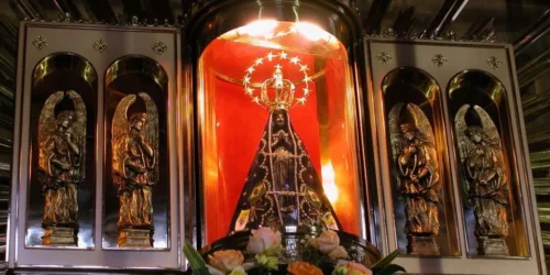Nossa Senhora Aparecida, protegei a família brasileira diante do avanço revolucionário!