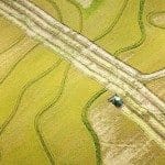 Socialismo venezuelano apela ao agronegócio dos EUA para sobreviver