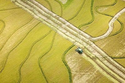 Produtores de arroz de Arkansas exportam toda sua safra para a Venezuela