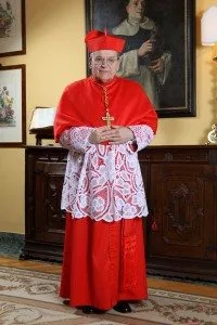 Cardeal Burke afirmou que “não combatemos adequadamente os erros modernos, porque não nos foi ensinada a fé católica (...). Uma falência da catequese, seja a catequese (...) realizada nos últimos 50 anos”. Cardeal Burke afirmou que “não combatemos adequadamente os erros modernos, porque não nos foi ensinada a fé católica (...). Uma falência da catequese, seja a catequese (...) realizada nos últimos 50 anos”.