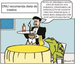 Sapo-ONU