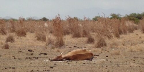 Para a FUNAI, índio não pode progredir