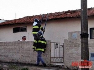 Maritacas causam principio de incêndio em residênciana Vila Carmem, São Carlos SP