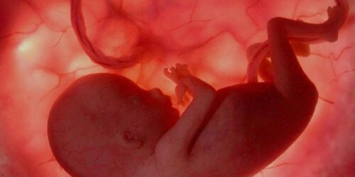 Governo oficializa aborto e paga R$ 443 pelo SUS