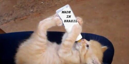 O Estado “resolve-tudo”