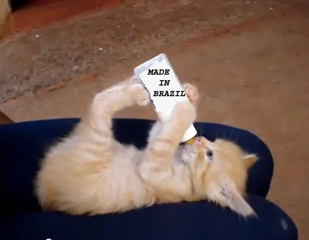 No momento, você está visualizando O Estado “resolve-tudo”