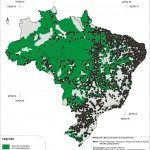 Governo criando cobras…