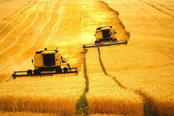 No momento, você está visualizando PIB Brasil: mais uma vez, o agro salvando a lavoura