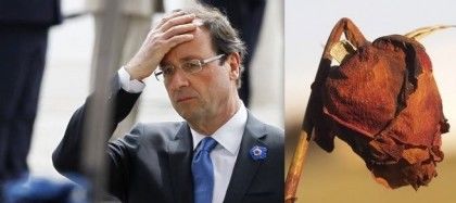 O PSF escolheu a rosa como símbolo, mas nem tudo são rosas para os socialistas franceses