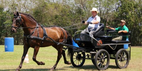 Vida nova sem Aladim