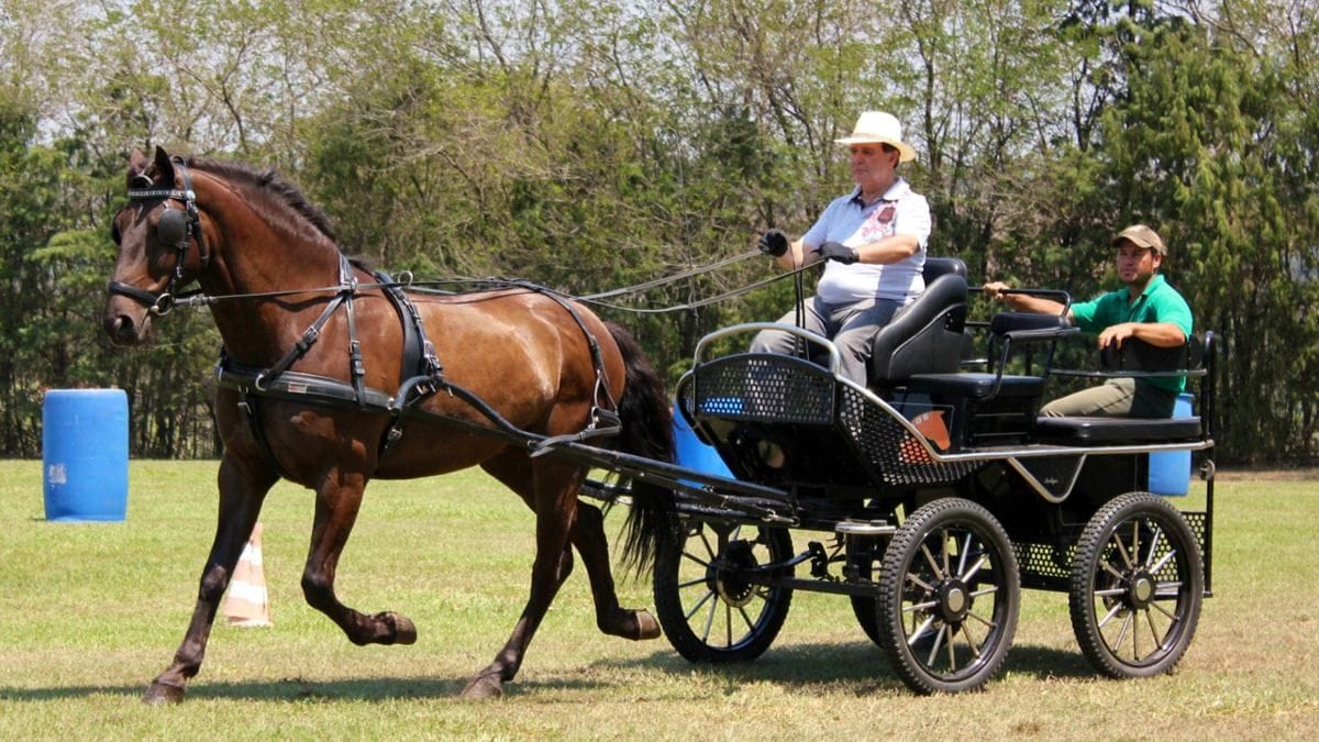 No momento, você está visualizando Vida nova sem Aladim