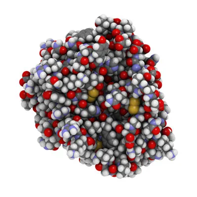 Estrutura química de uma molécula de enzima tripsina