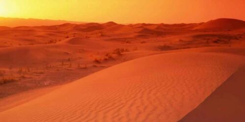 Viagem ao delírio verde: A Terra e seus últimos recursos naturais