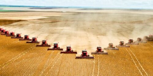 Produção agrícola em aumento, apesar de tudo