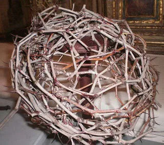 Coroa de espinhos segundo o Santo Sudário
