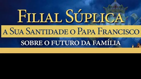 No momento, você está visualizando Católicos do Mundo inteiro apelam ao Santo Padre preocupados com o próximo Sínodo