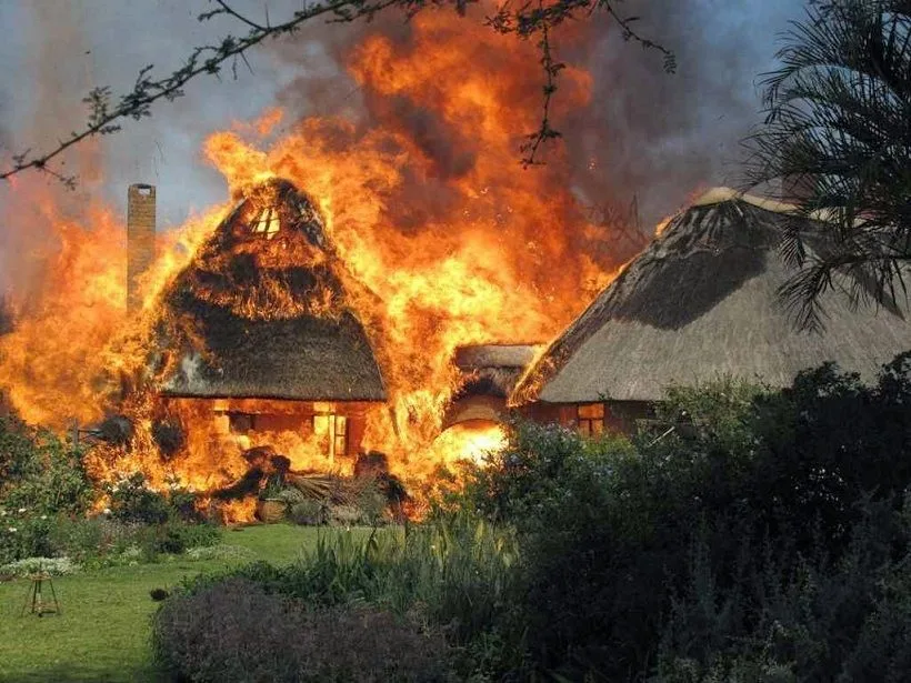 No momento, você está visualizando Resultado da Reforma Agrária socialista: o exemplo do Zimbabwe