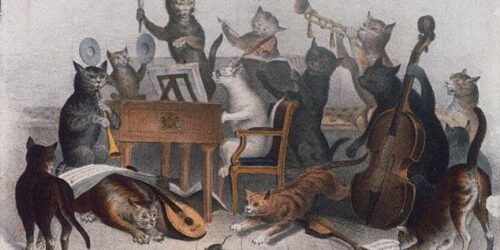 Gatos “odeiam” heavy metal e “adoram” os compositores clássicos
