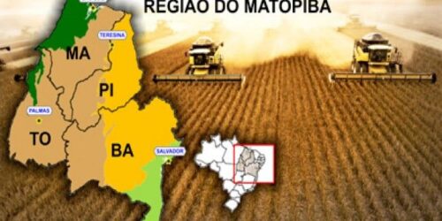 Matopiba: desenvolver a agricultura ou os agricultores?
