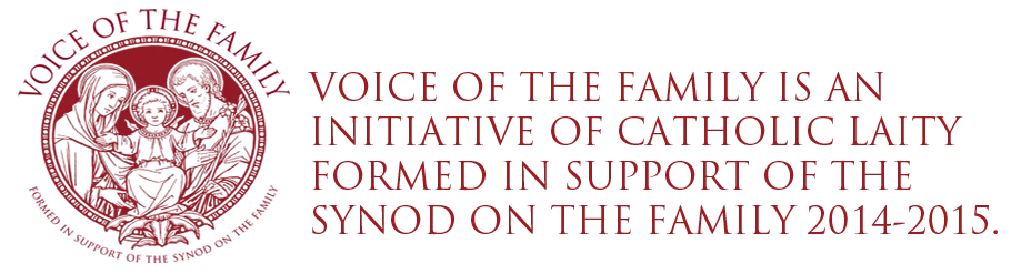 No momento, você está visualizando Declaração de Voice of the Family  sobre a encíclica Laudato Si