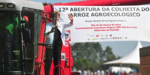 ARROZ DO MST: Dilma promove a Agricultura da Miséria (Façam as Contas)…