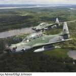 Ameaças de internacionalizar a Amazônia