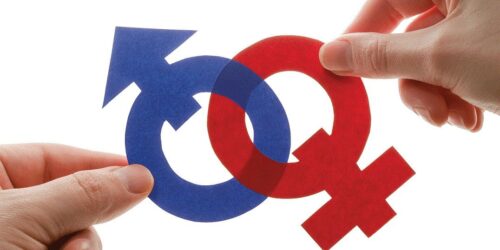 Descrição: PLS 134/2018 – Estatuto da Diversidade Sexual